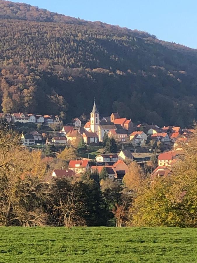 Oberbronn Gite L'Instant Durableヴィラ エクステリア 写真