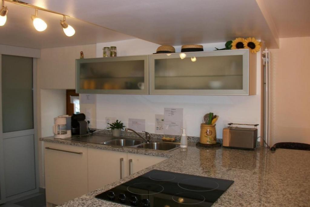 Gite L'Instant Durable Oberbronn 部屋 写真