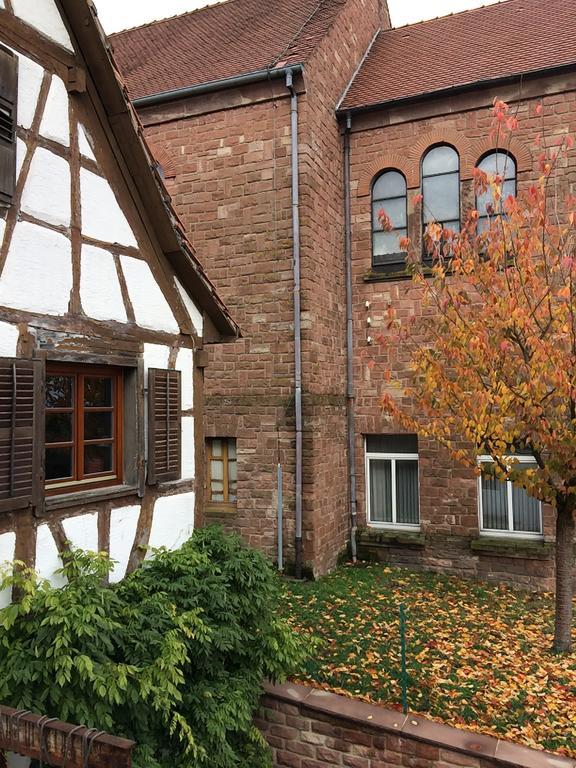 Gite L'Instant Durable Oberbronn エクステリア 写真